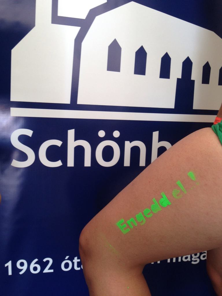 11754411_10153365272150071_5939547982856027170_o