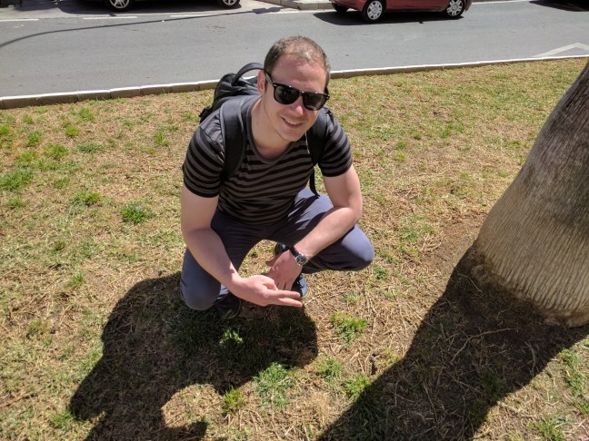 Sanyi utolso kakis kepe