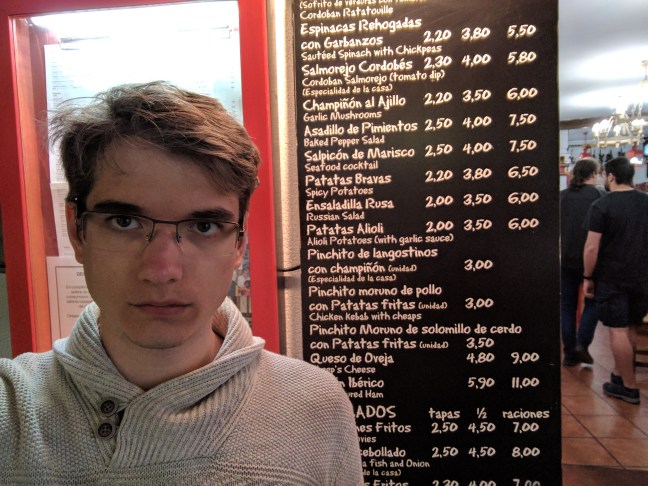 chicken kebab with cheaps